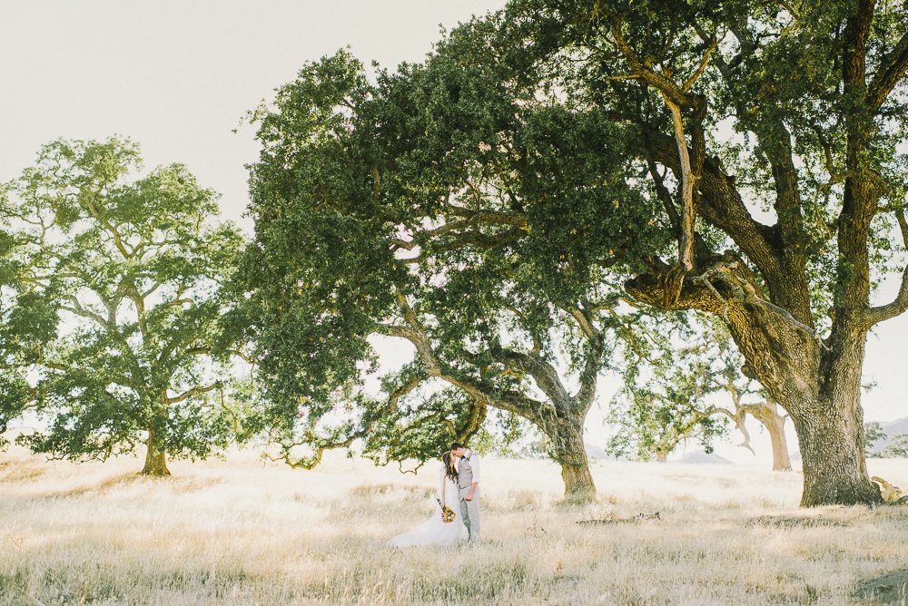 bride and groom under large oak tree at bride and groom portrait in a field spanish oaks ranch in santa margarita