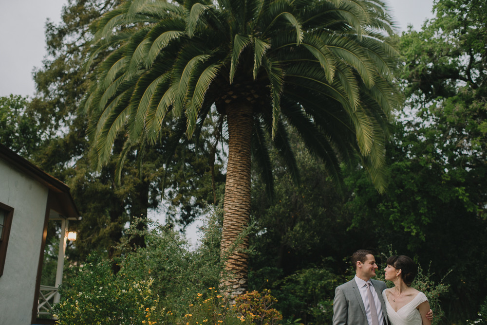 wedding portrait with palm tree in background