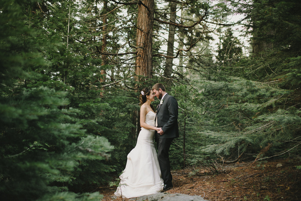 couple in yosemite forest after wedding ceremony