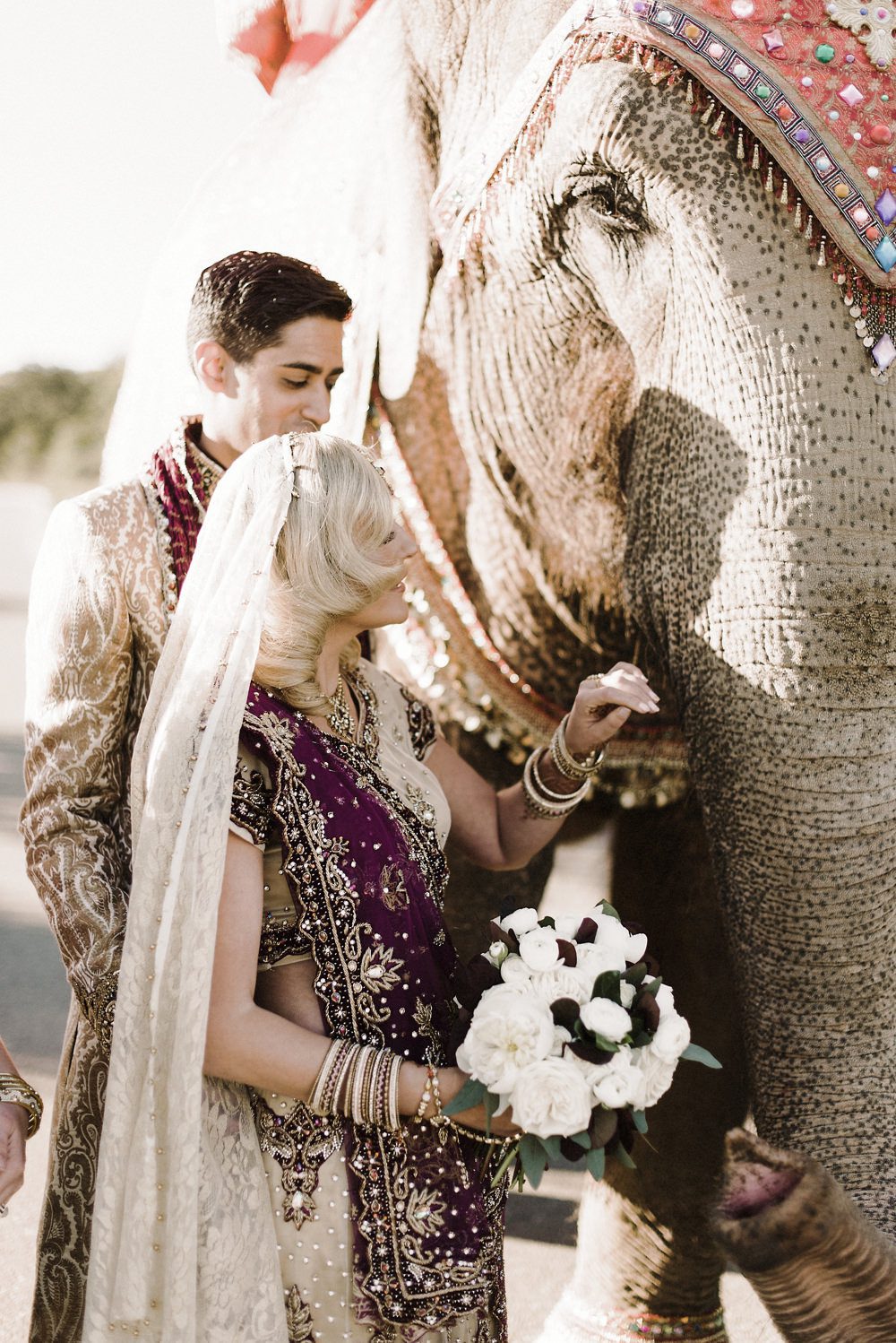 Indian Wedding with Elephant, Presqu’ile Wedding